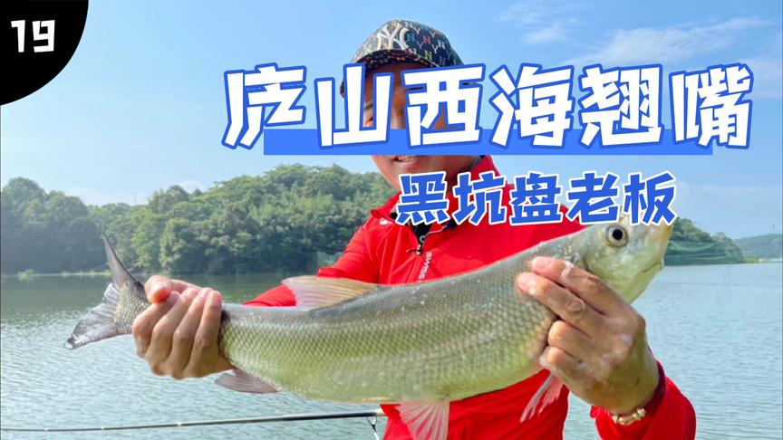 邓刚钓鱼第一次遇到质疑的玉米水库会钓鱼的老板[视频]